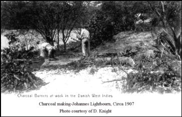 Photo of Charcoal making in Danish West Indies
