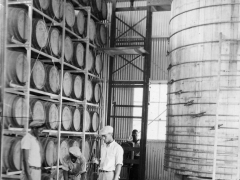 Testing rum STX by Allan Rinehart 1936